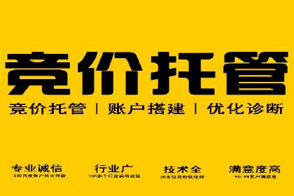 搜索引擎营销（SEM）竞价优化全解析